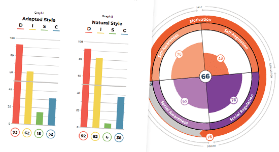 DISC Accreditation Training via The Science of Self